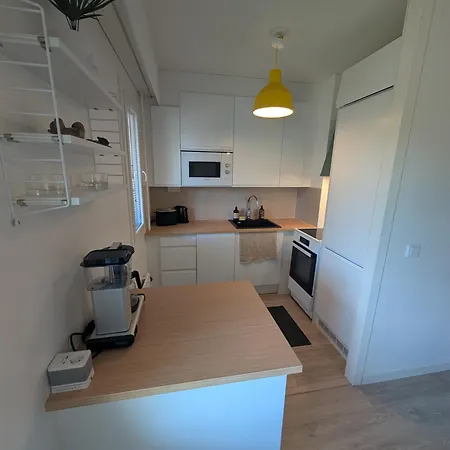 Remontoitu Kaksio Helsingissä - Juna 12min Huoneisto *