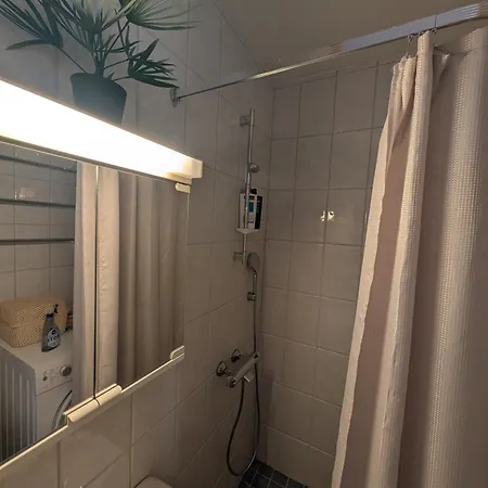 Remontoitu Kaksio Helsingissä - Juna 12min Huoneisto *